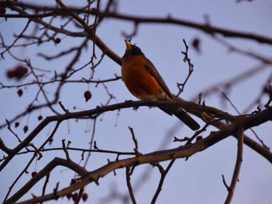 Small business owner reviewing COVID-19 safety measures, highlighting economic impact on SMEs and self-employed individuals