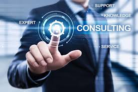 Finance consultant reviewing financial reports and advising business owner on strategy